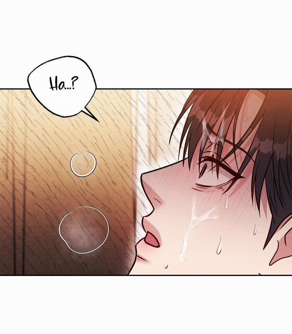 Giả Dược 28 trang 55