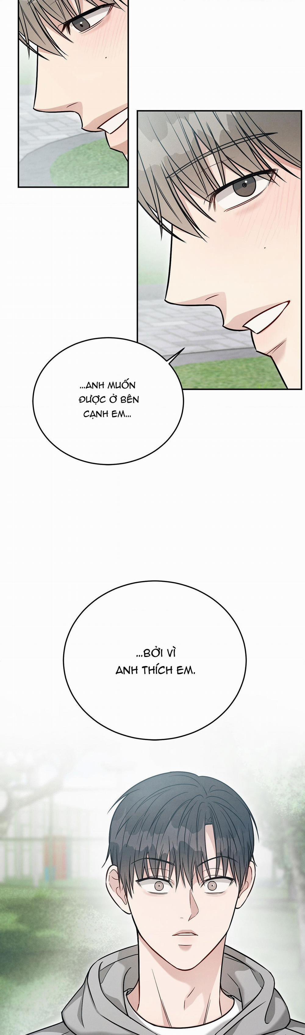 Giả Dược 39 trang 5