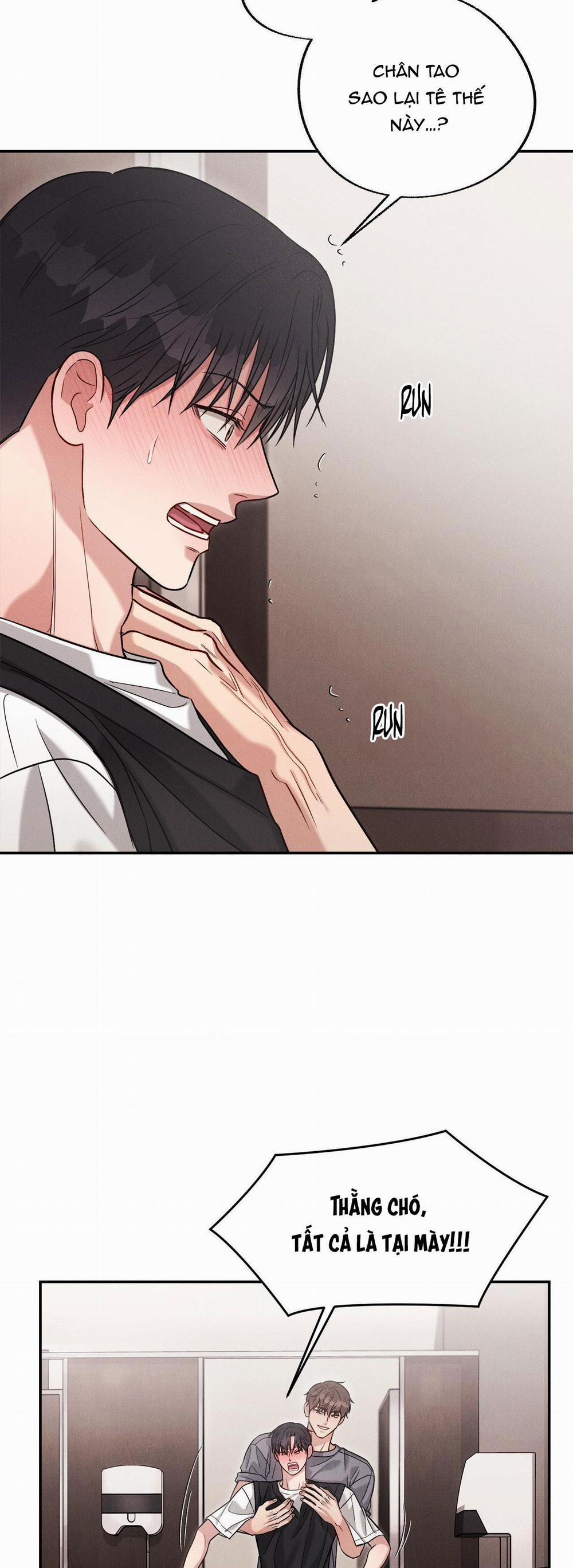 Giả Dược 42 trang 31