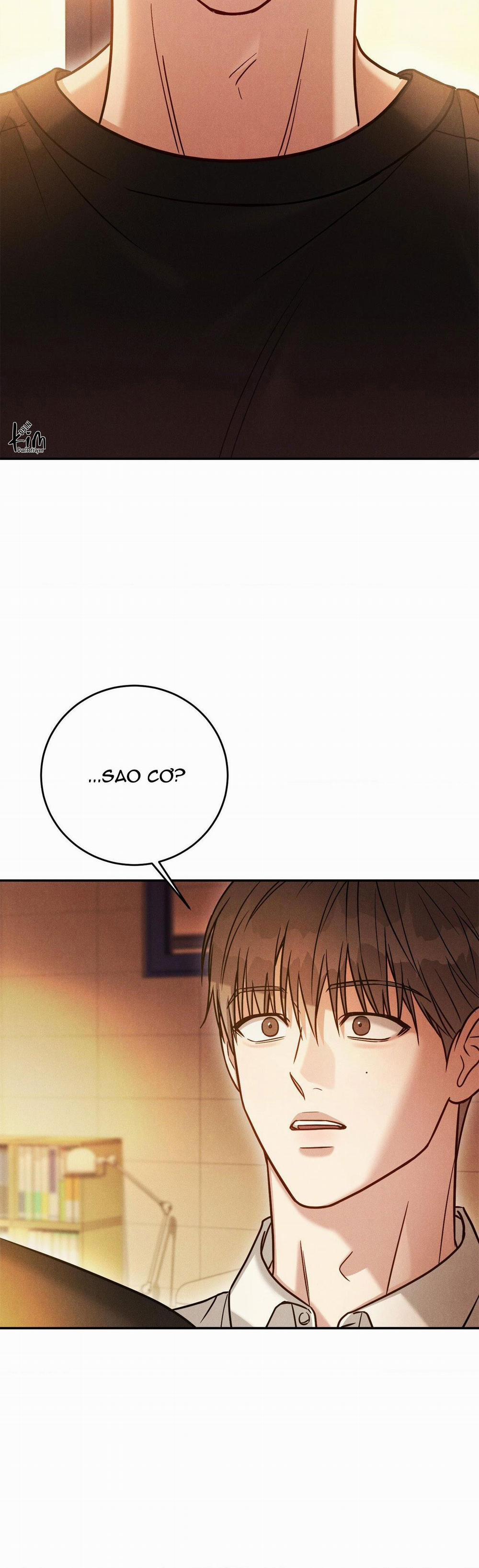 Giả Dược 45 trang 19