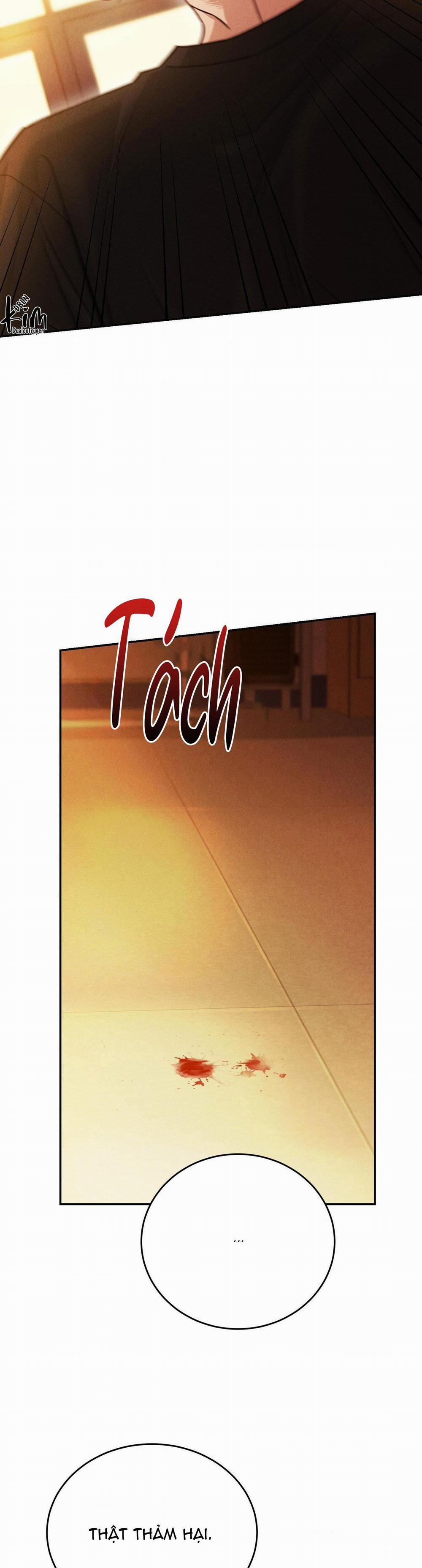 Giả Dược 45 trang 28