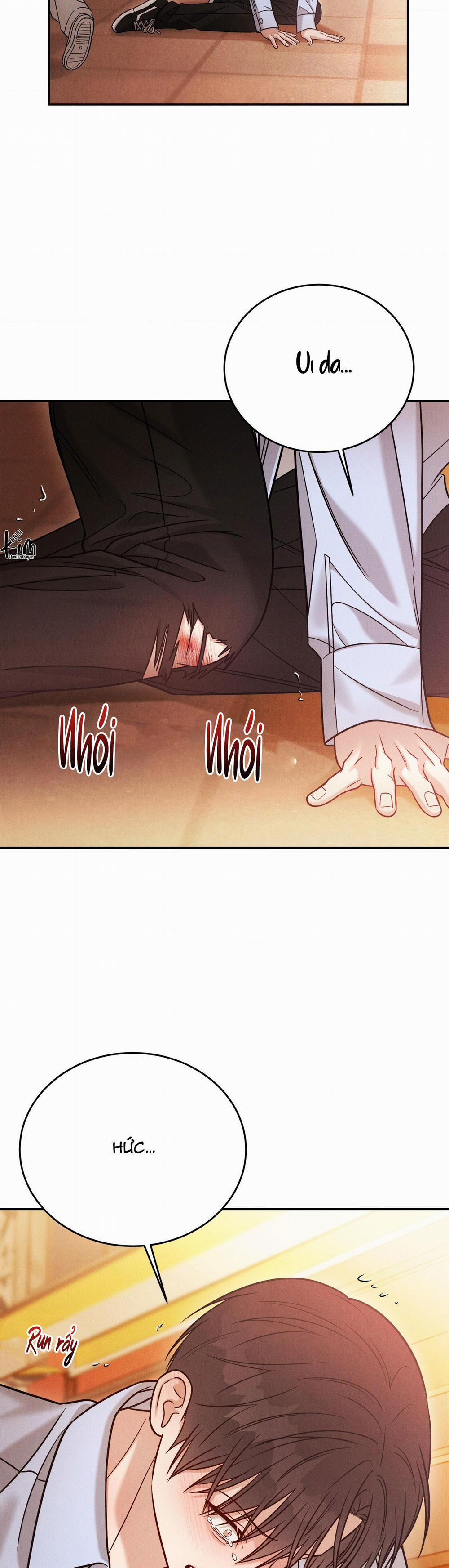 Giả Dược 47 trang 14