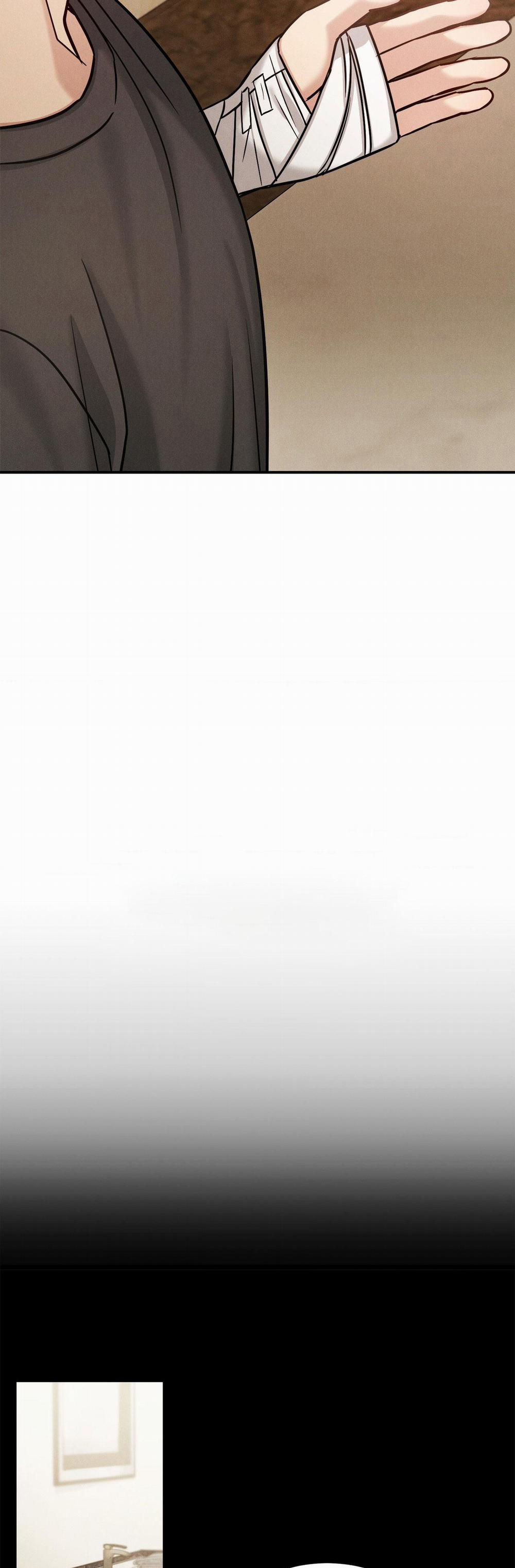 Giả Dược 49 trang 2