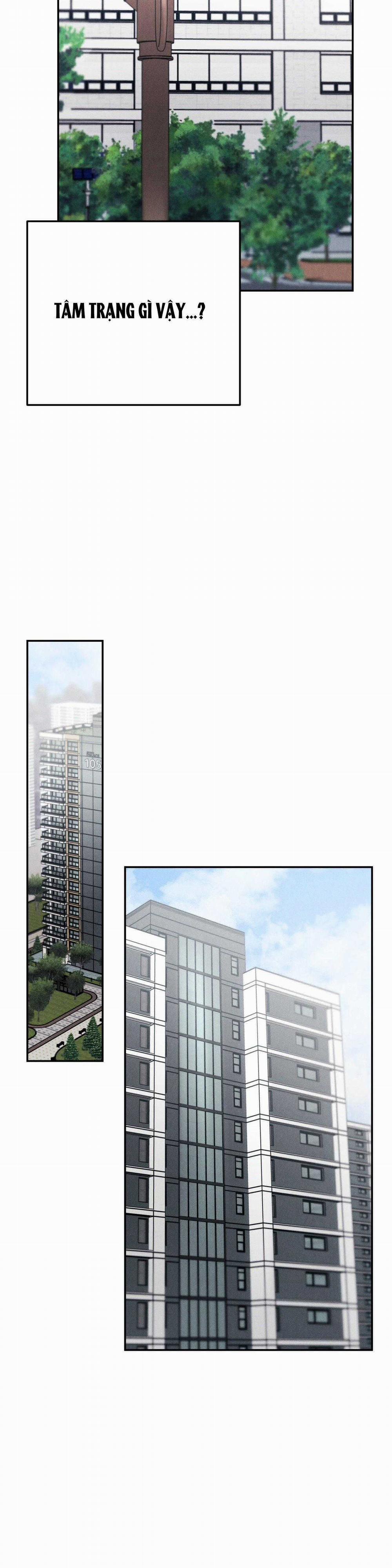 Giả Dược 54 trang 24