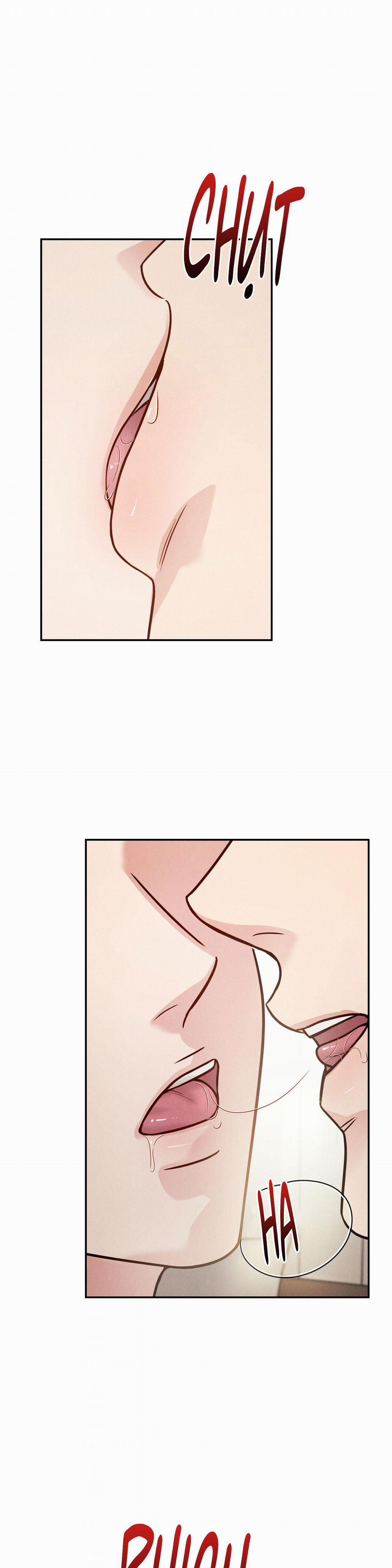 Giả Dược 55 trang 0