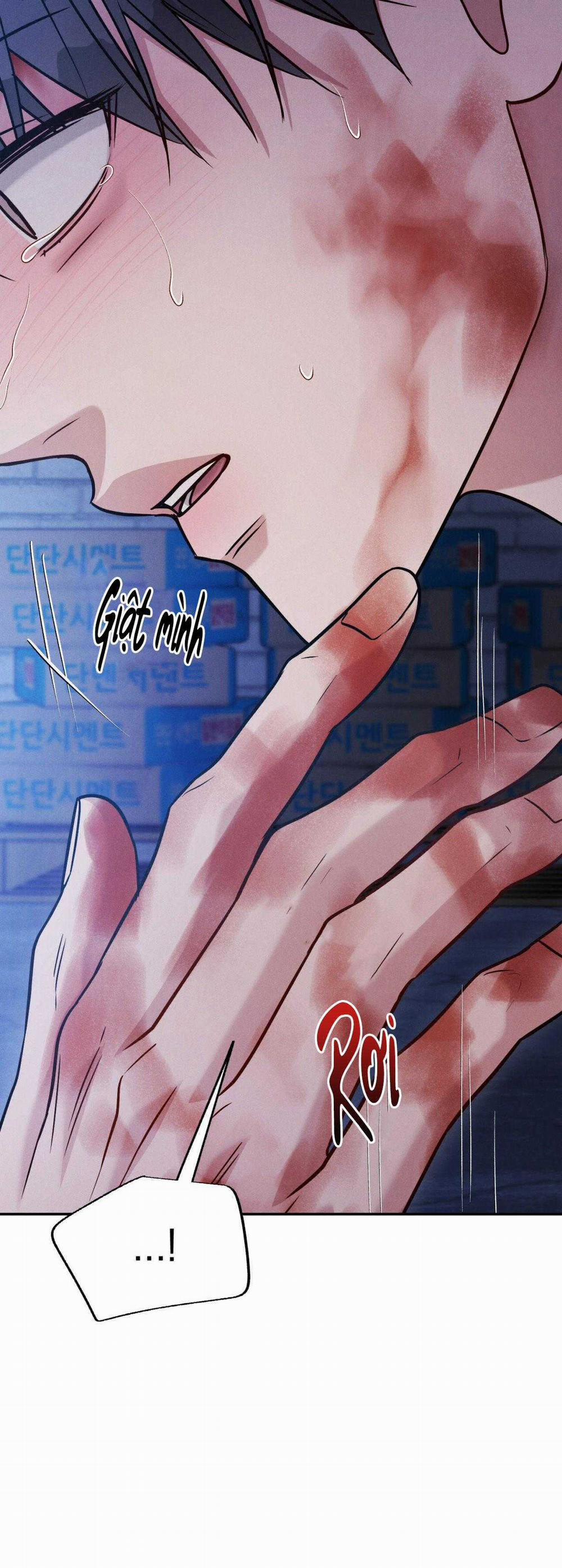 Giả Dược 57 trang 41