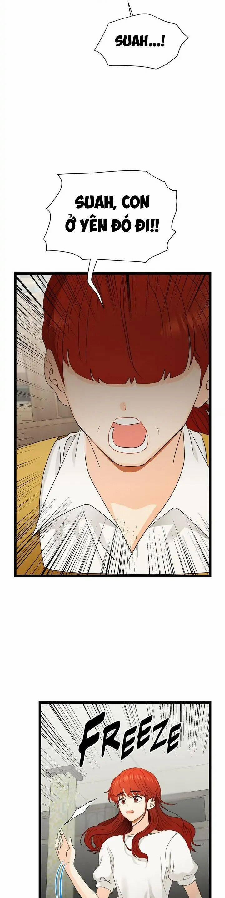 Giả Mạo Theo Phong Cách 100 trang 11