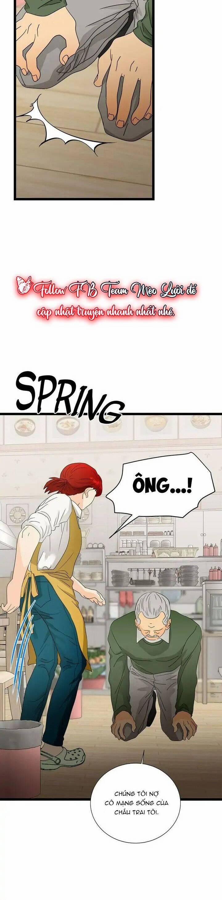 Giả Mạo Theo Phong Cách 100 trang 16