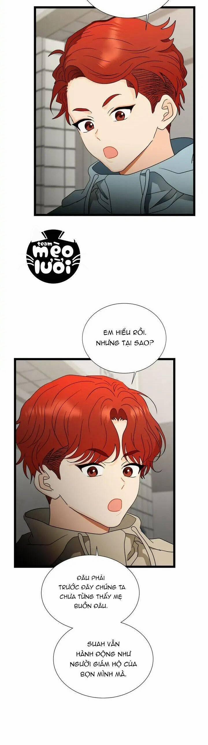 Giả Mạo Theo Phong Cách 100 trang 21