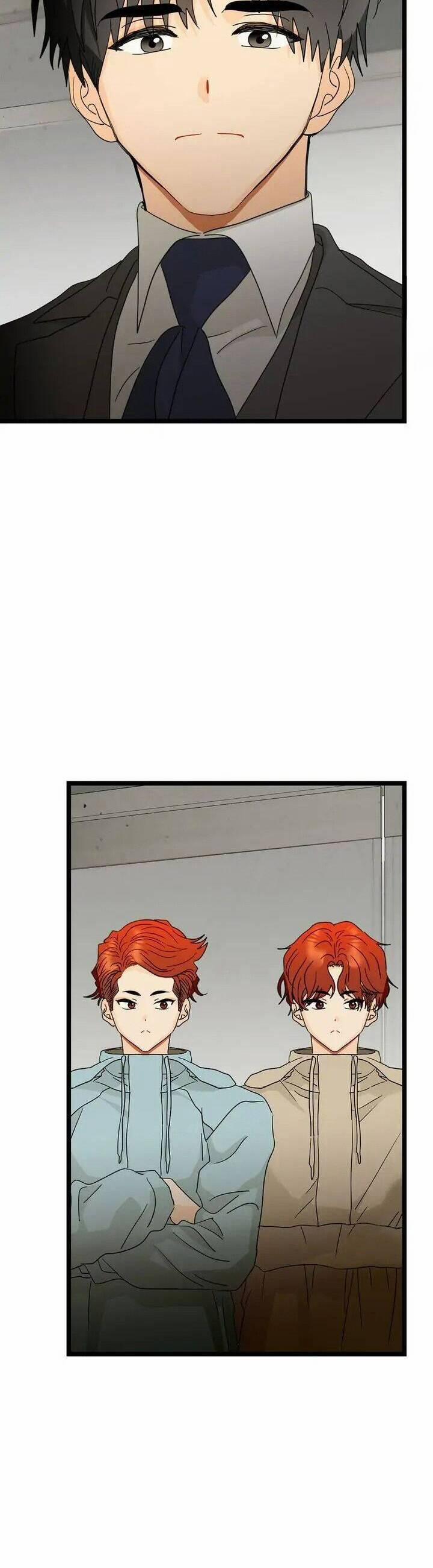 Giả Mạo Theo Phong Cách 100 trang 3