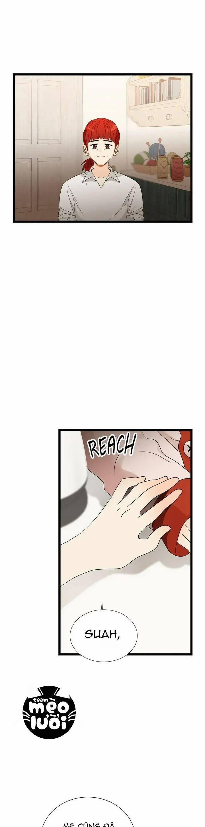 Giả Mạo Theo Phong Cách 100 trang 31