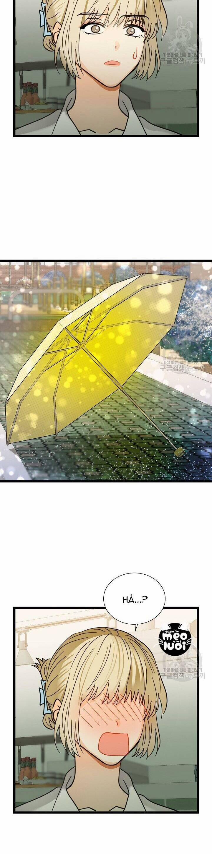 Giả Mạo Theo Phong Cách 114 trang 29