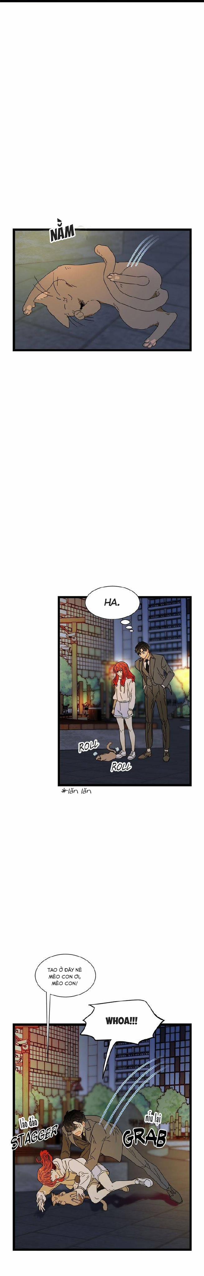 Giả Mạo Theo Phong Cách 35 trang 5