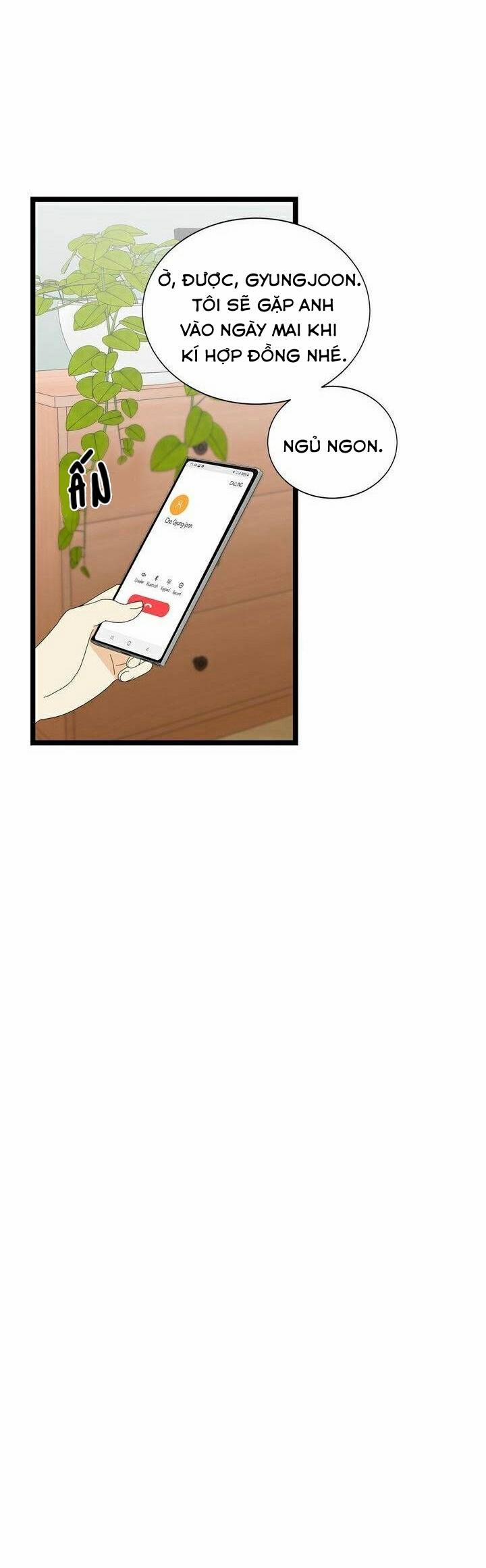 Giả Mạo Theo Phong Cách 38 trang 29