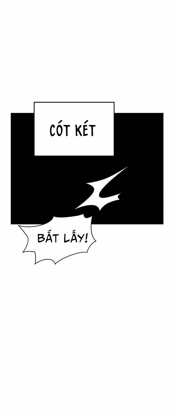 Giả Mạo Theo Phong Cách 38 trang 6