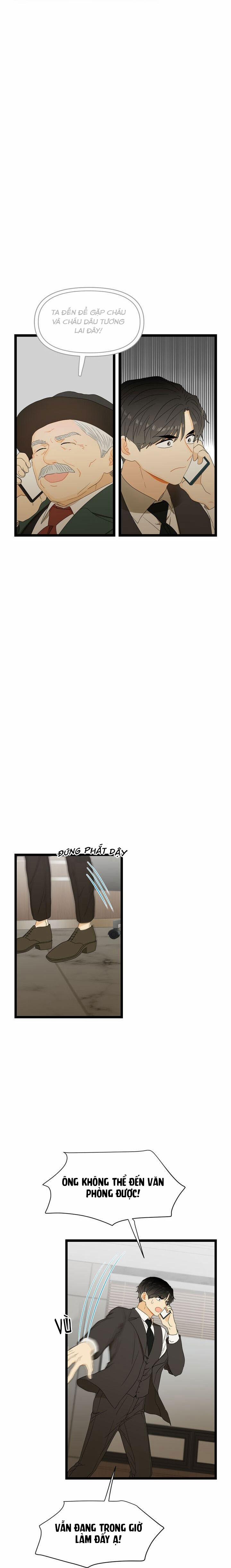 Giả Mạo Theo Phong Cách 39 trang 15