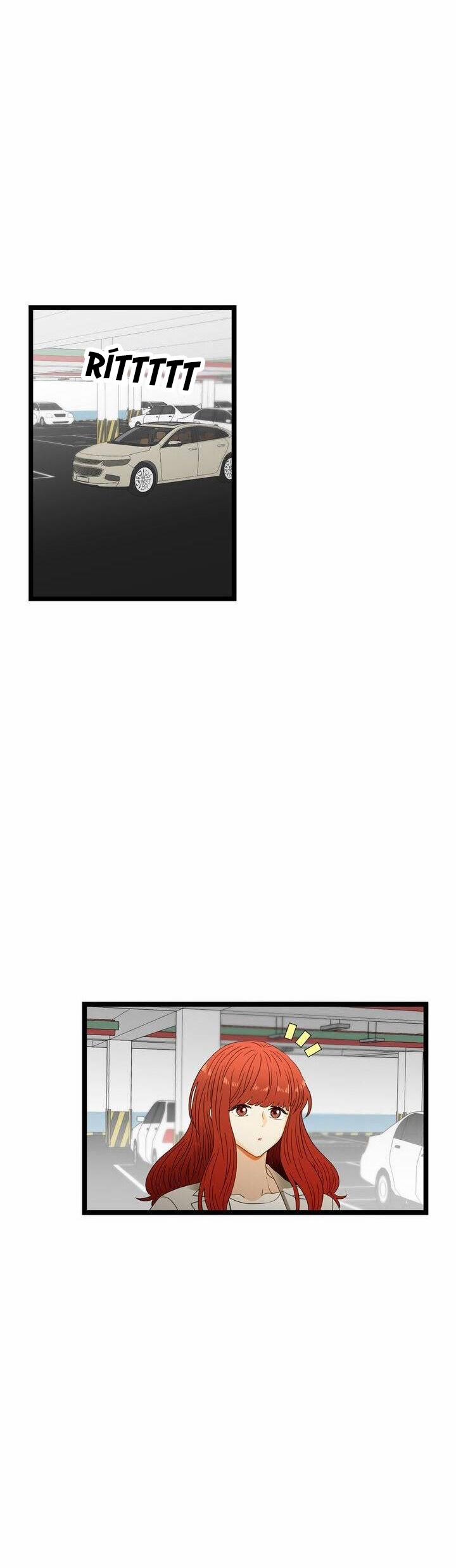 Giả Mạo Theo Phong Cách 40 trang 33