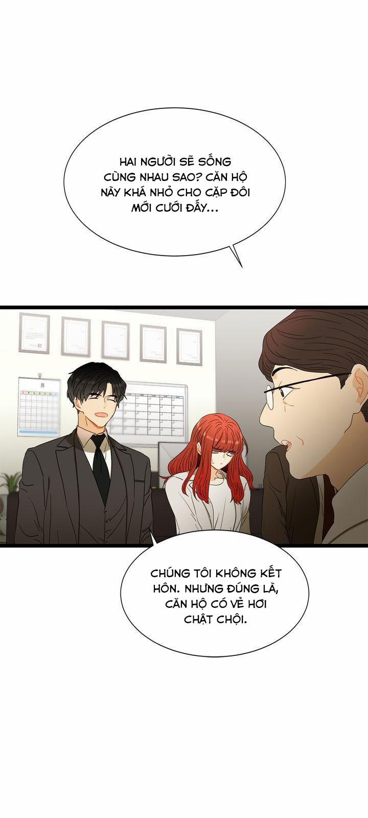 Giả Mạo Theo Phong Cách 41 trang 5