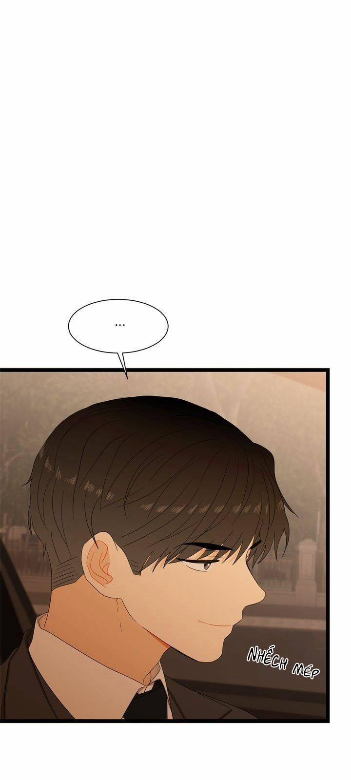 Giả Mạo Theo Phong Cách 42 trang 4