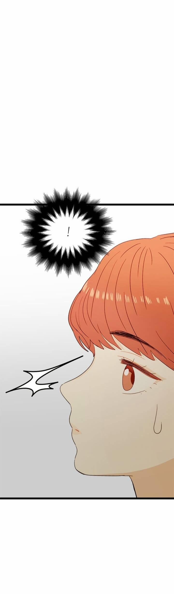 Giả Mạo Theo Phong Cách 44 trang 45