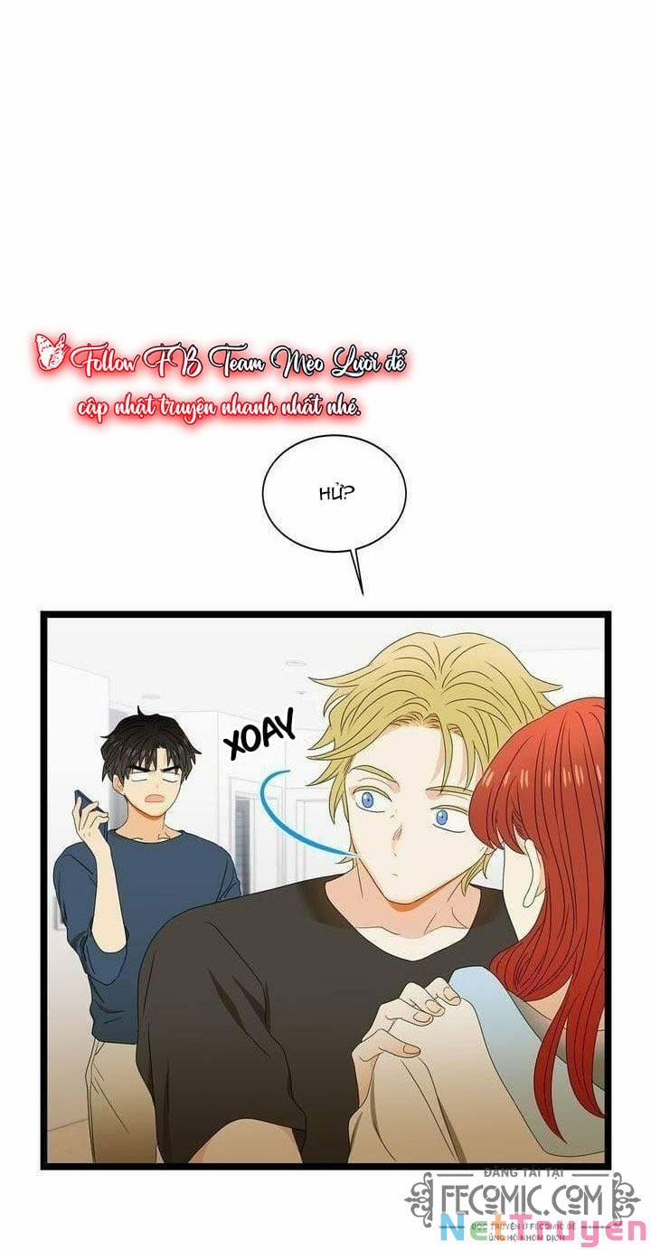 Giả Mạo Theo Phong Cách 52 trang 17