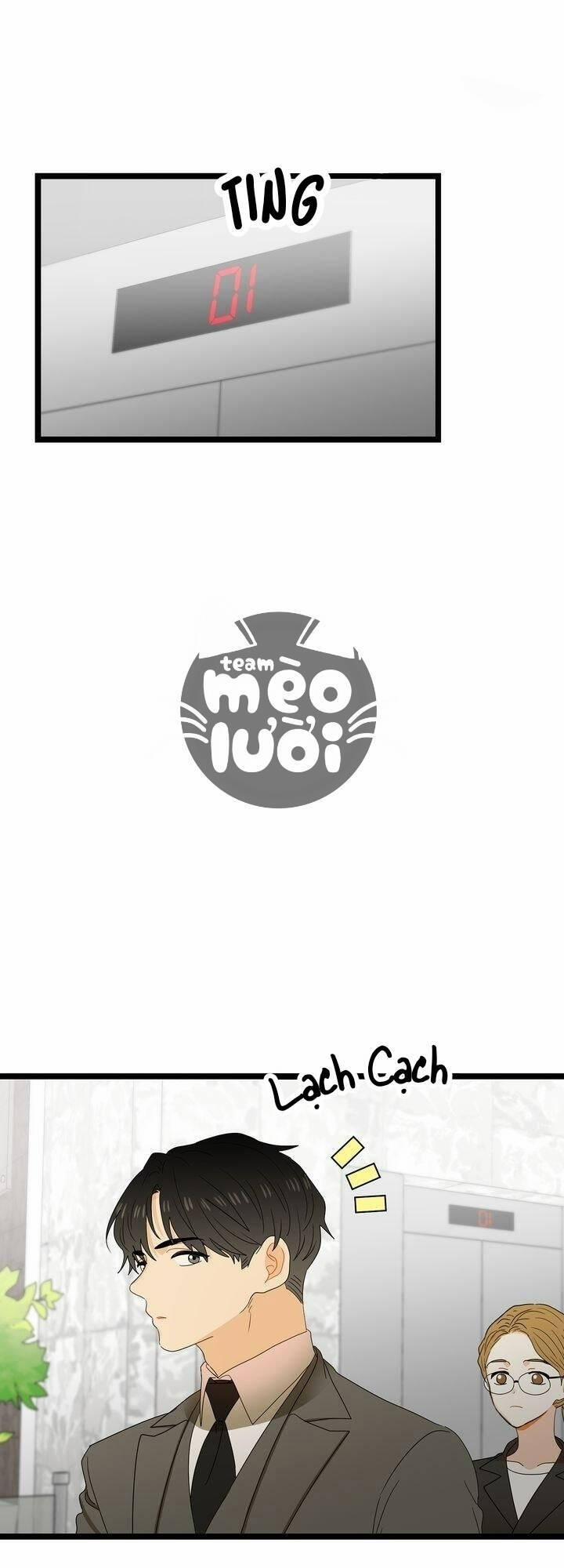 Giả Mạo Theo Phong Cách 56 trang 10