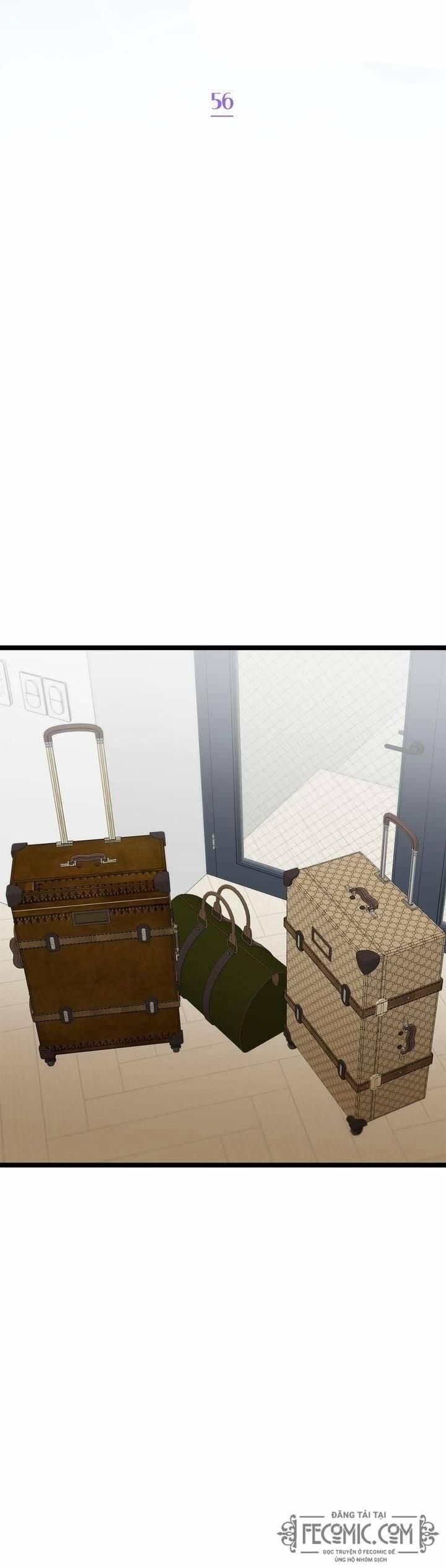 Giả Mạo Theo Phong Cách 56 trang 19