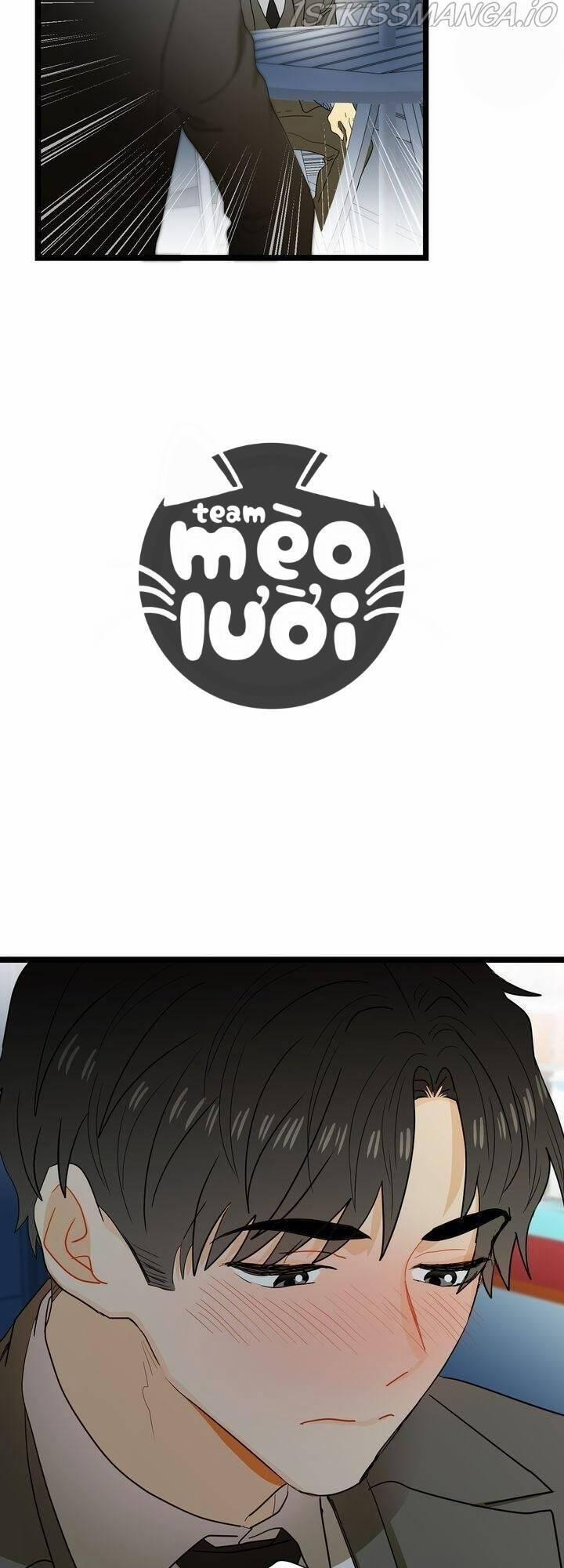 Giả Mạo Theo Phong Cách 56 trang 47