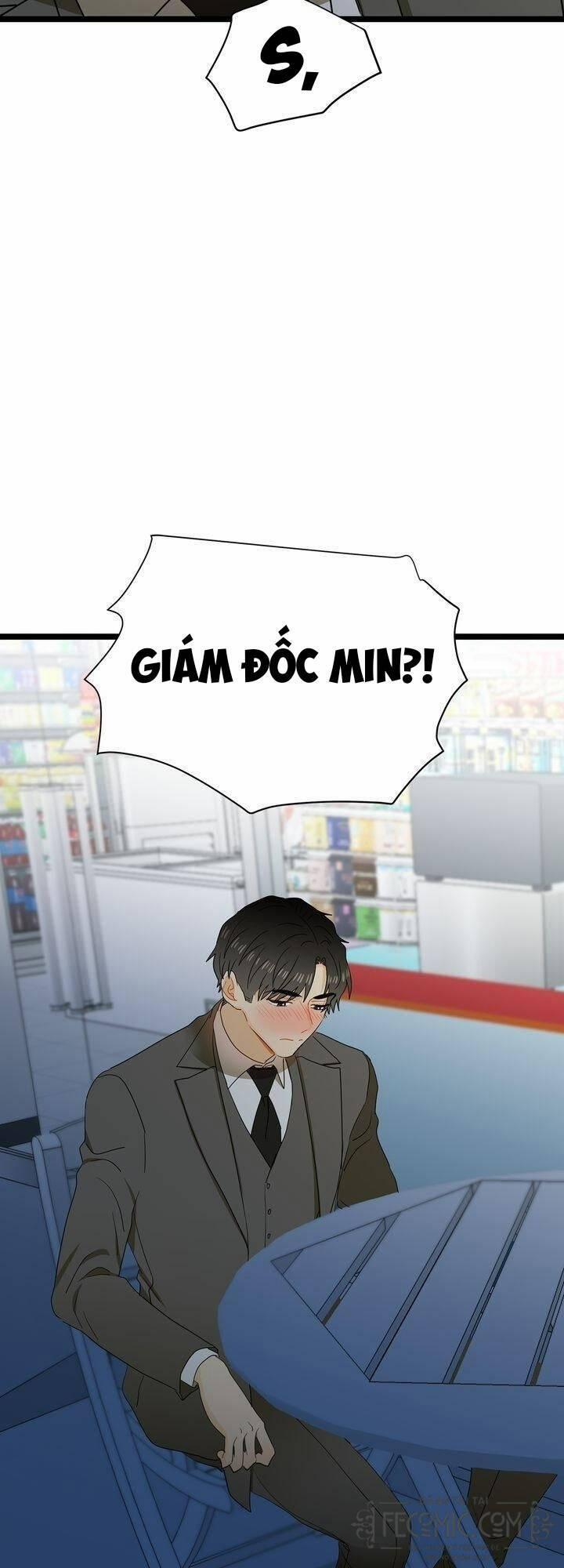 Giả Mạo Theo Phong Cách 56 trang 48