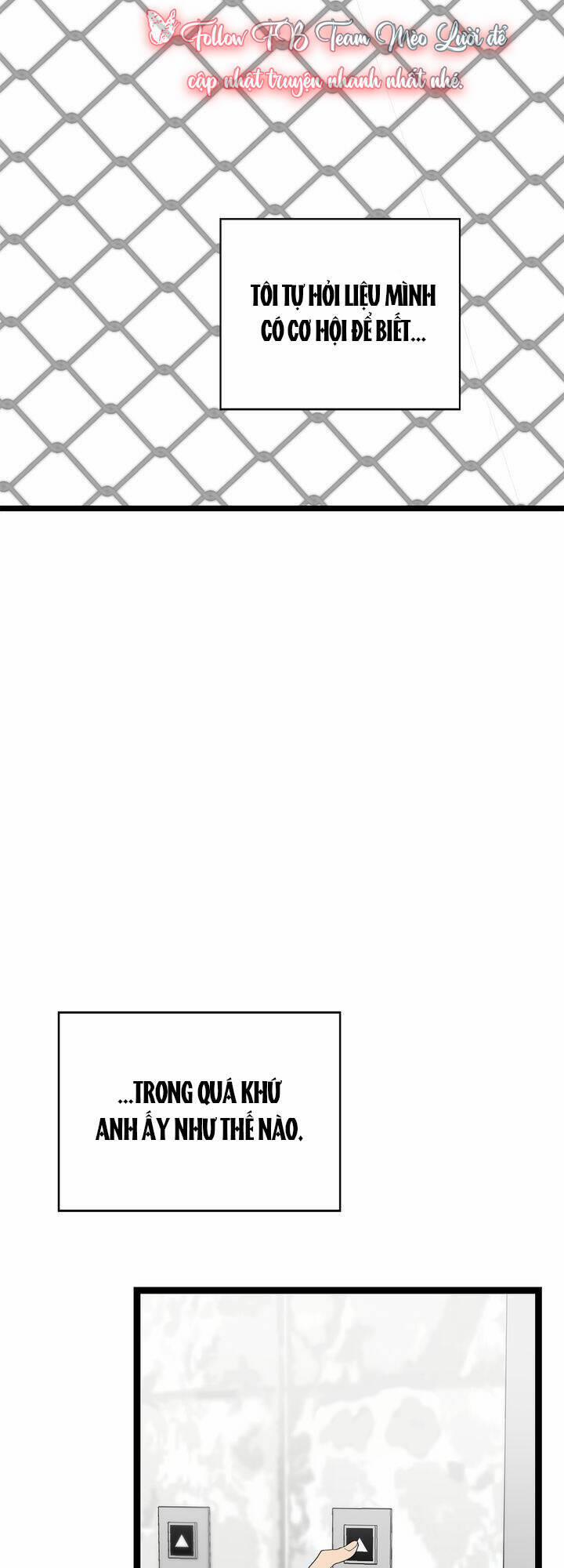 Giả Mạo Theo Phong Cách 59 trang 46