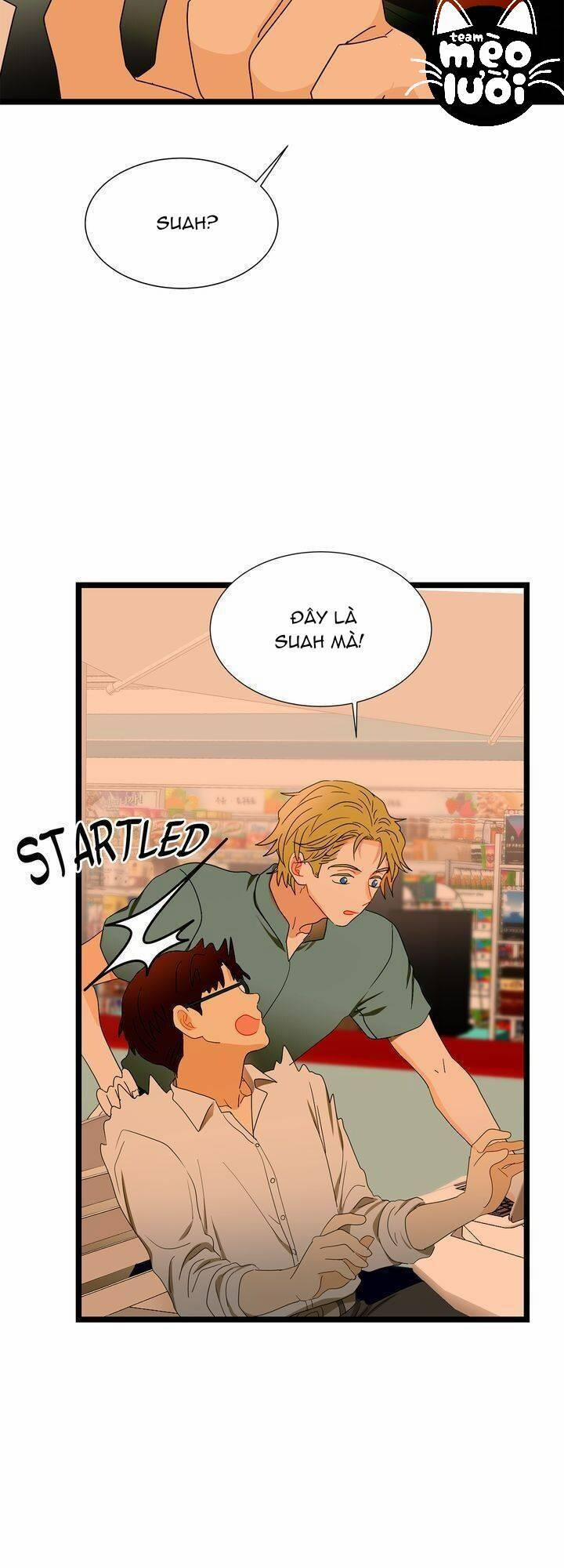 Giả Mạo Theo Phong Cách 61 trang 48