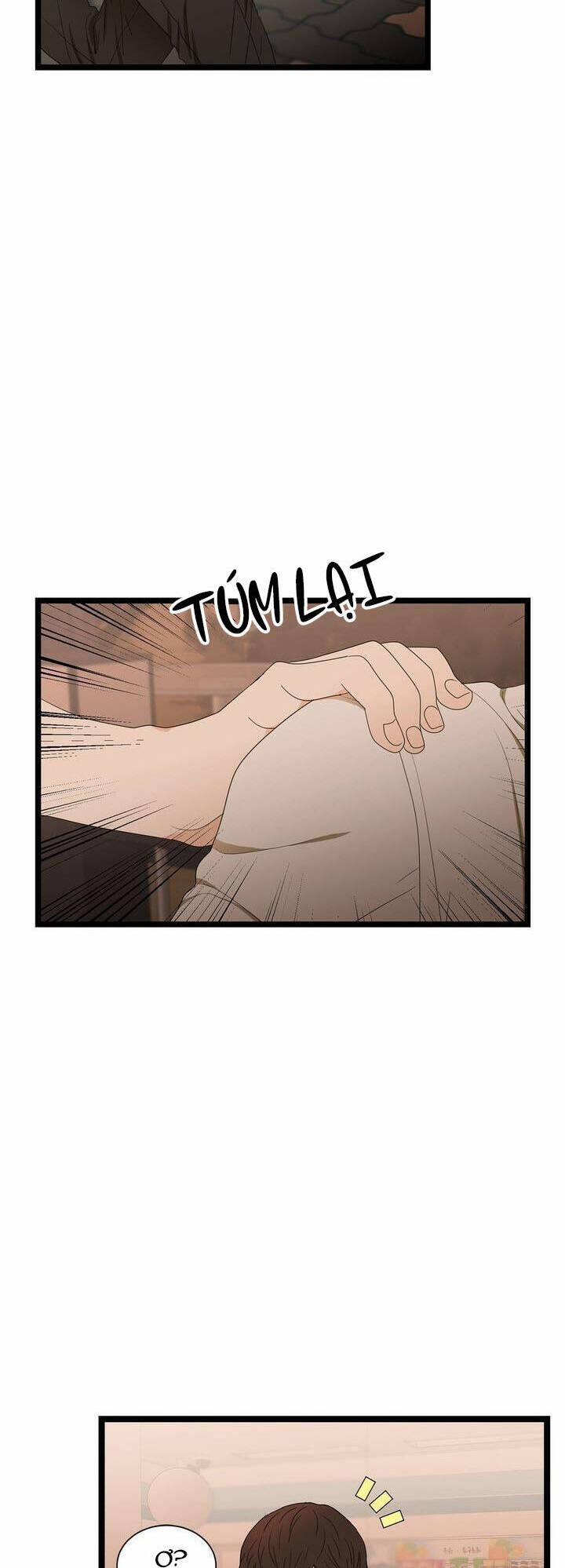 Giả Mạo Theo Phong Cách 62 trang 1