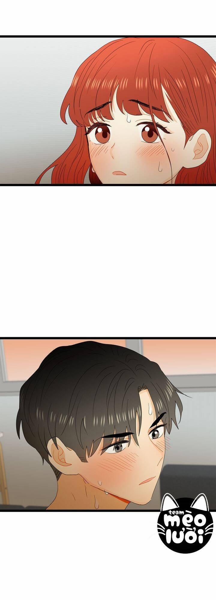 Giả Mạo Theo Phong Cách 62 trang 19