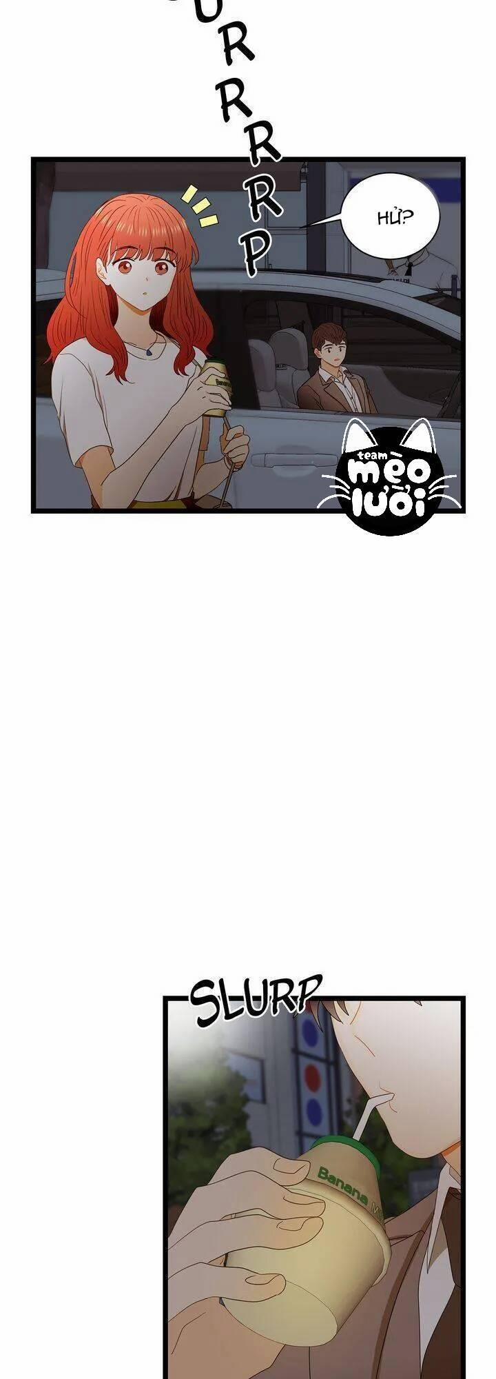 Giả Mạo Theo Phong Cách 63 trang 30