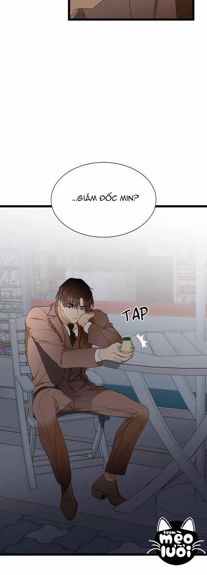 Giả Mạo Theo Phong Cách 63 trang 31