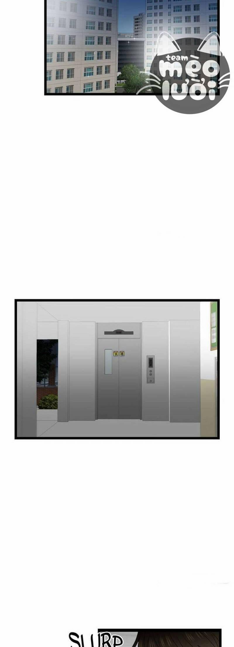 Giả Mạo Theo Phong Cách 64 trang 1