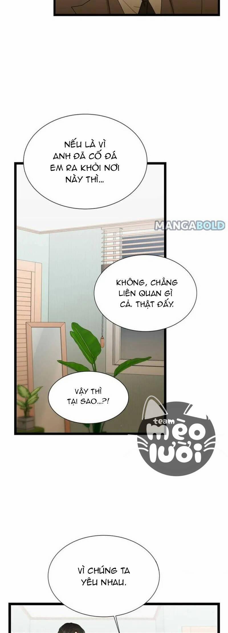 Giả Mạo Theo Phong Cách 64 trang 15