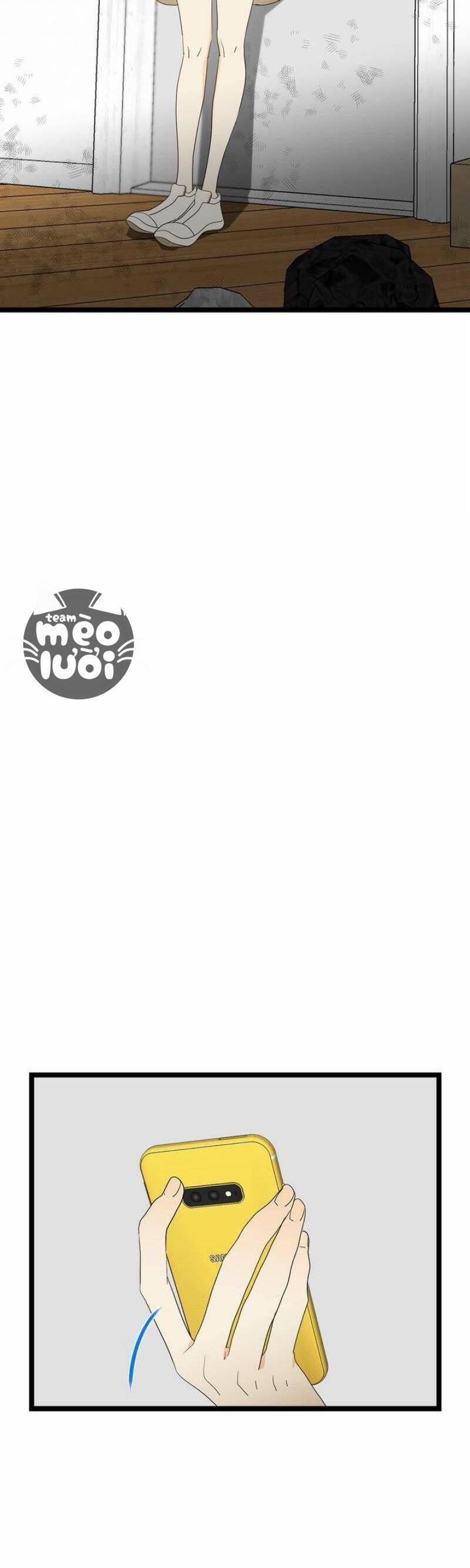 Giả Mạo Theo Phong Cách 65 trang 23