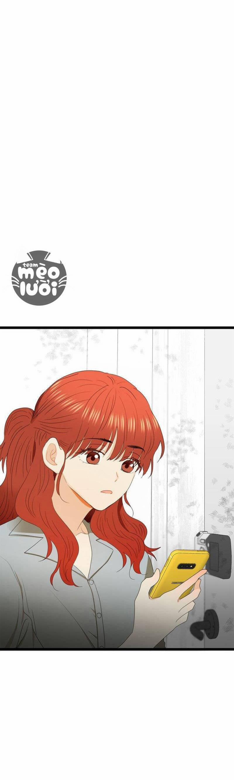 Giả Mạo Theo Phong Cách 65 trang 39