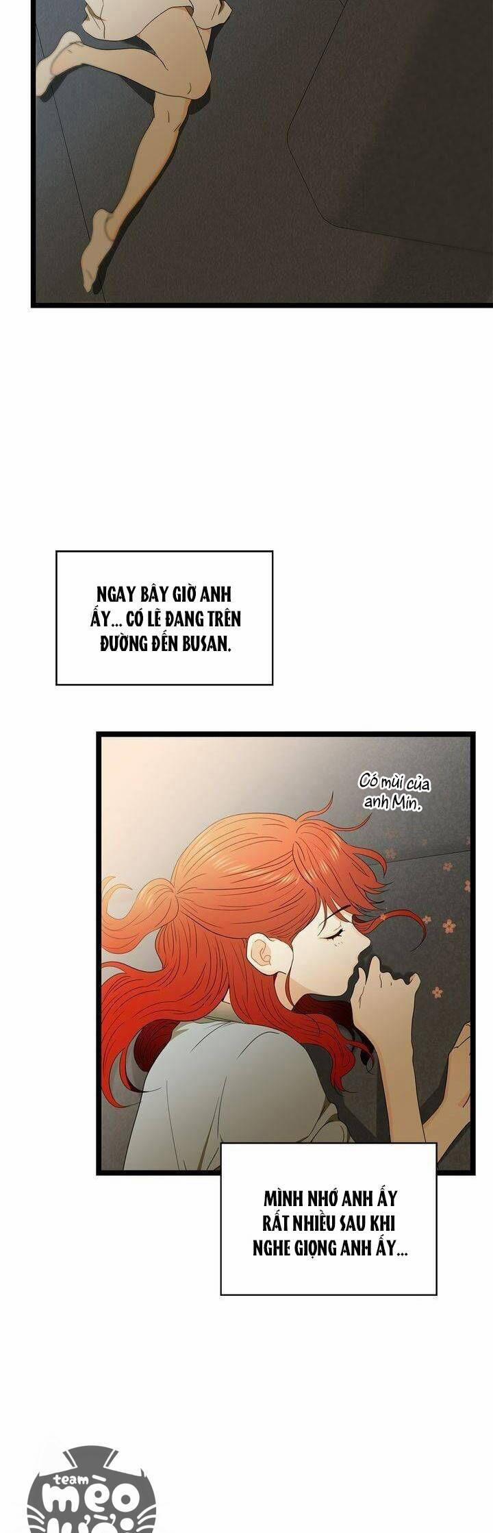 Giả Mạo Theo Phong Cách 66 trang 3