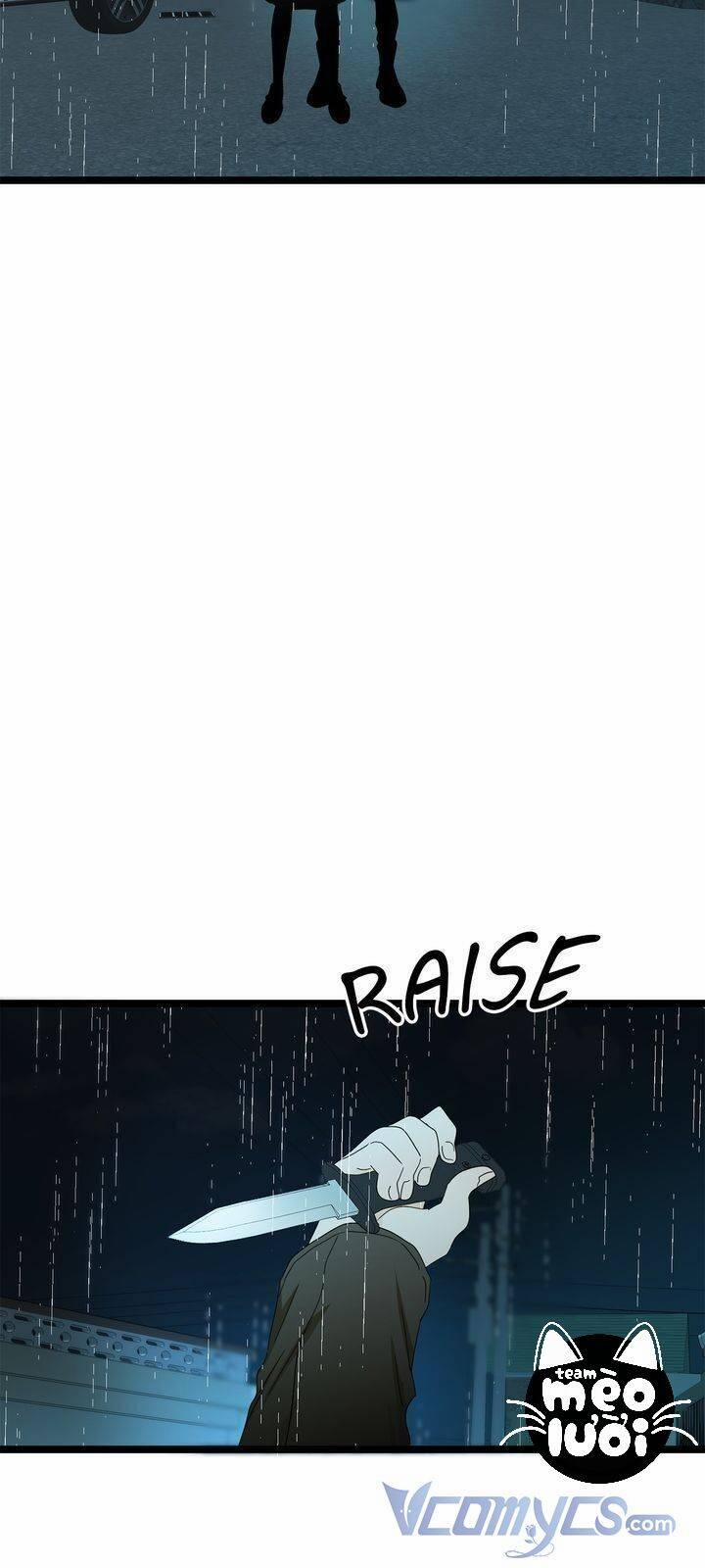 Giả Mạo Theo Phong Cách 73 trang 19