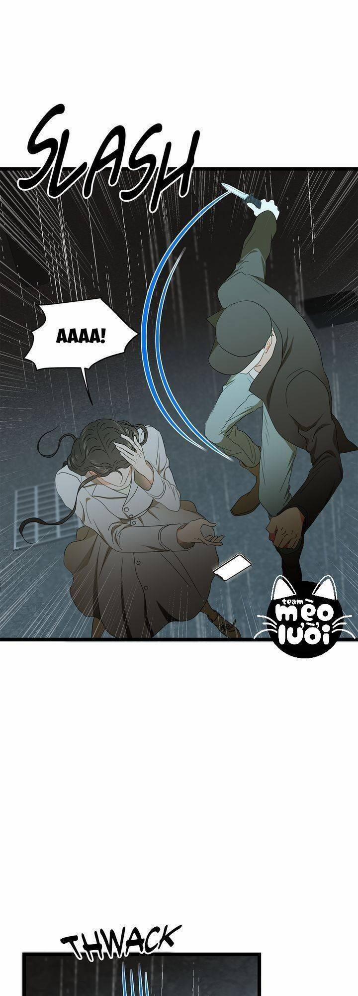 Giả Mạo Theo Phong Cách 73 trang 20