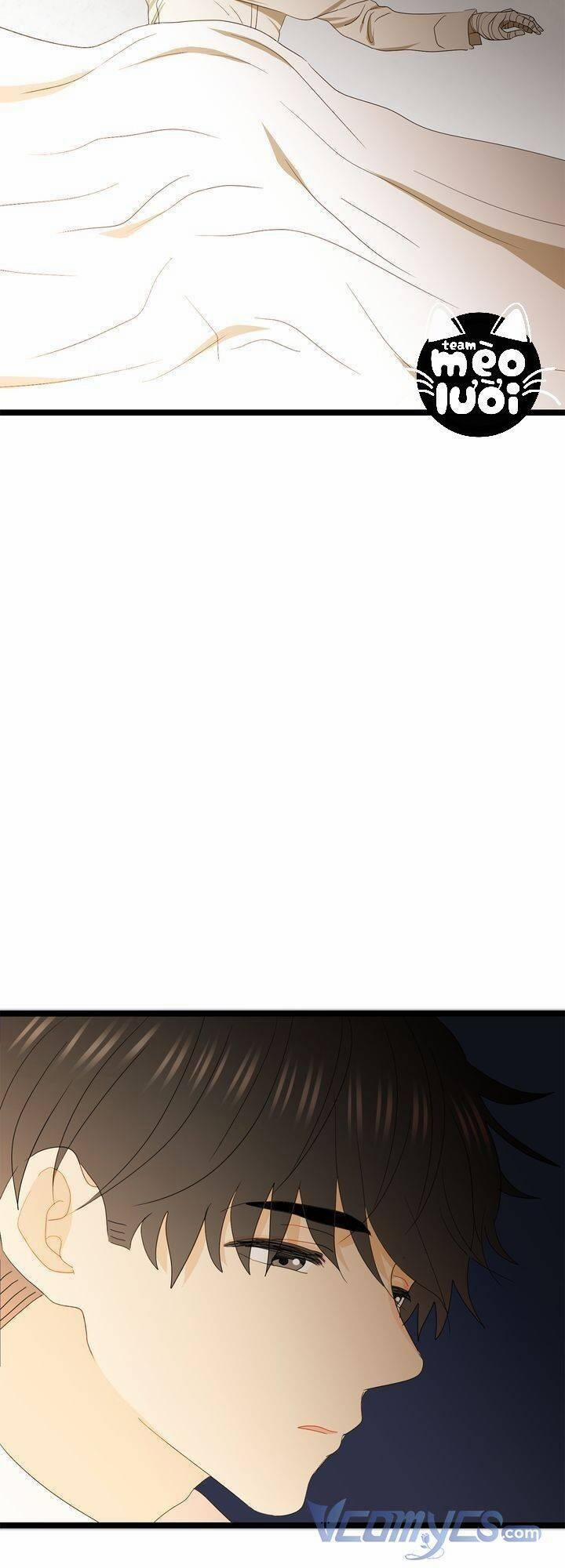 Giả Mạo Theo Phong Cách 73 trang 31