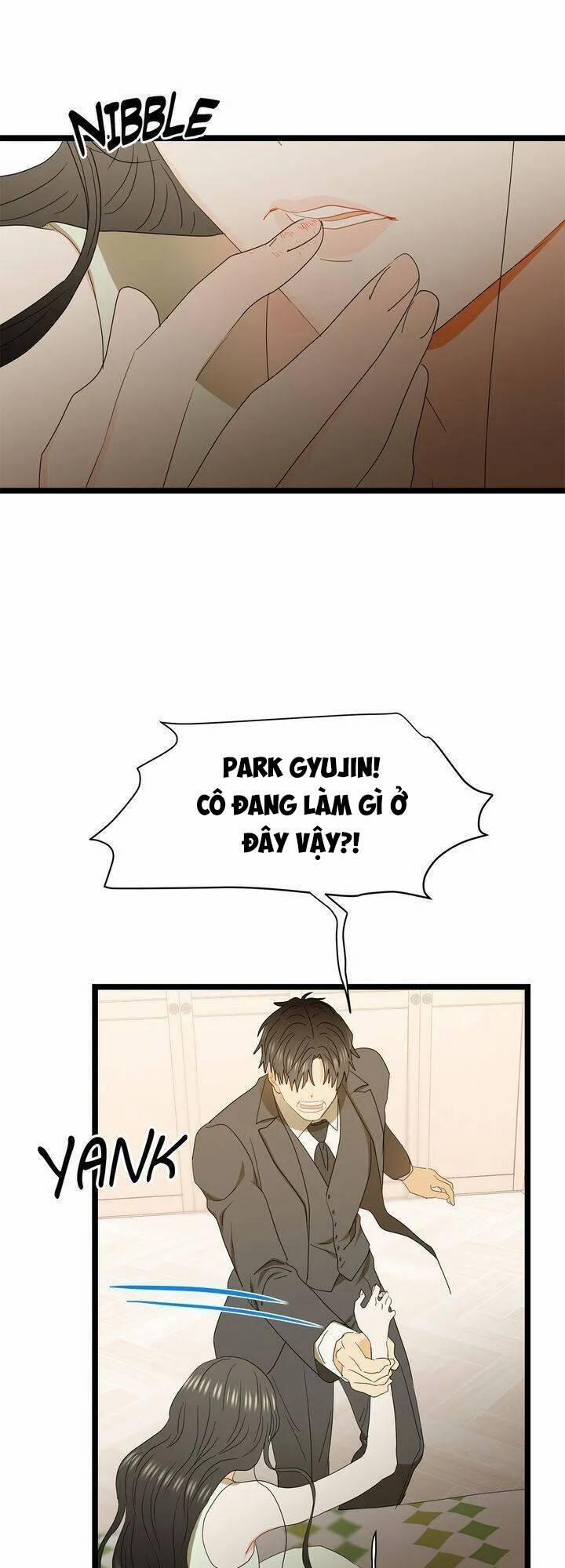 Giả Mạo Theo Phong Cách 74 trang 27