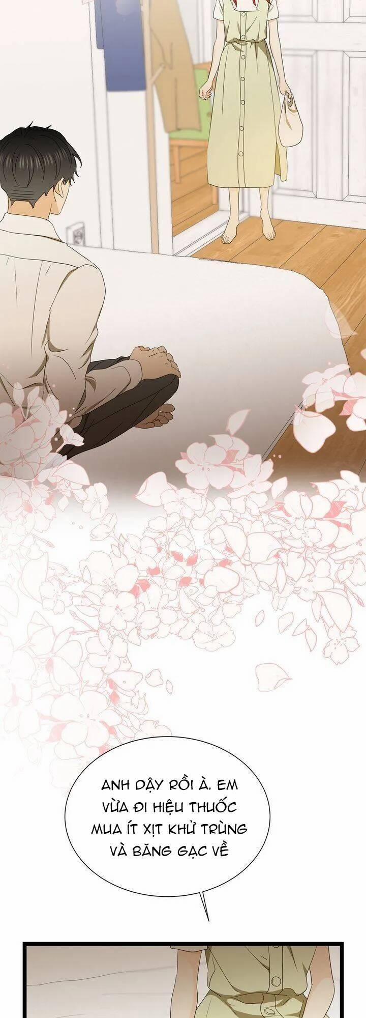 Giả Mạo Theo Phong Cách 74 trang 7