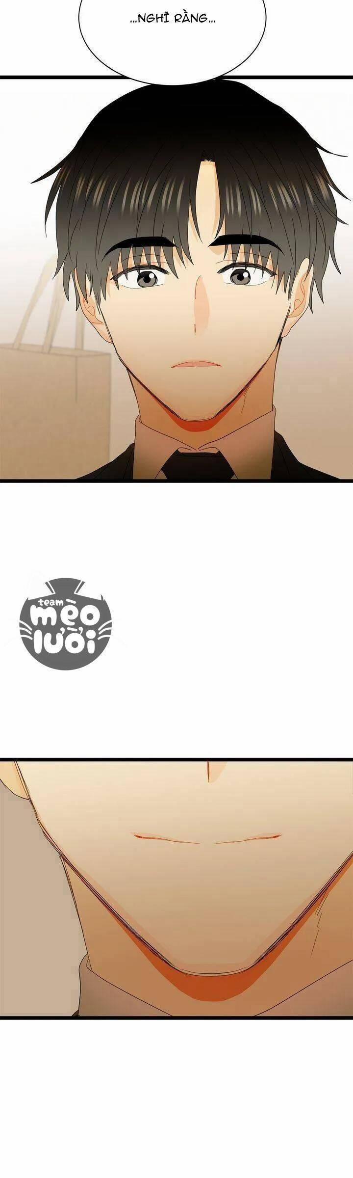 Giả Mạo Theo Phong Cách 75 trang 19