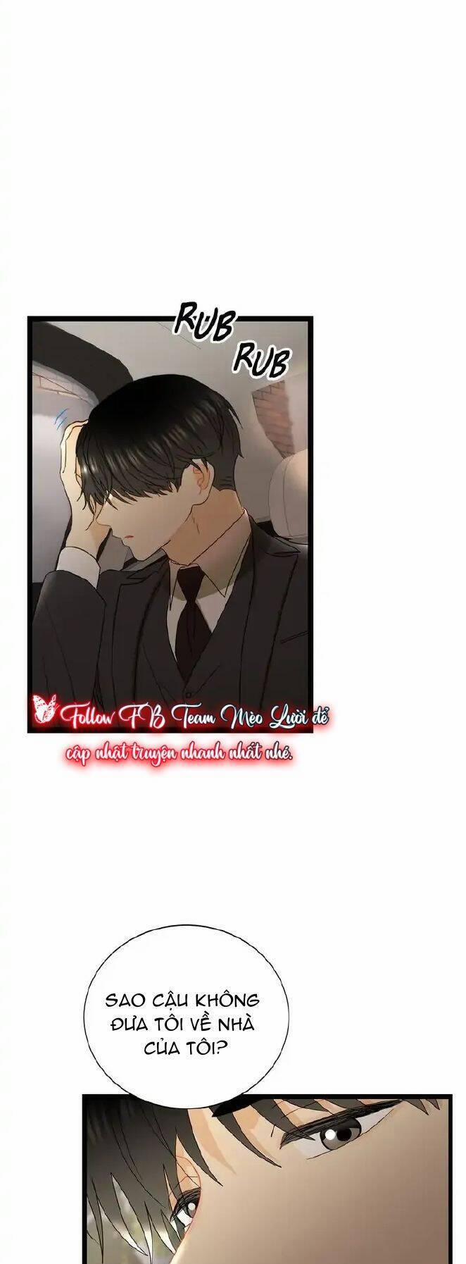 Giả Mạo Theo Phong Cách 85 trang 0