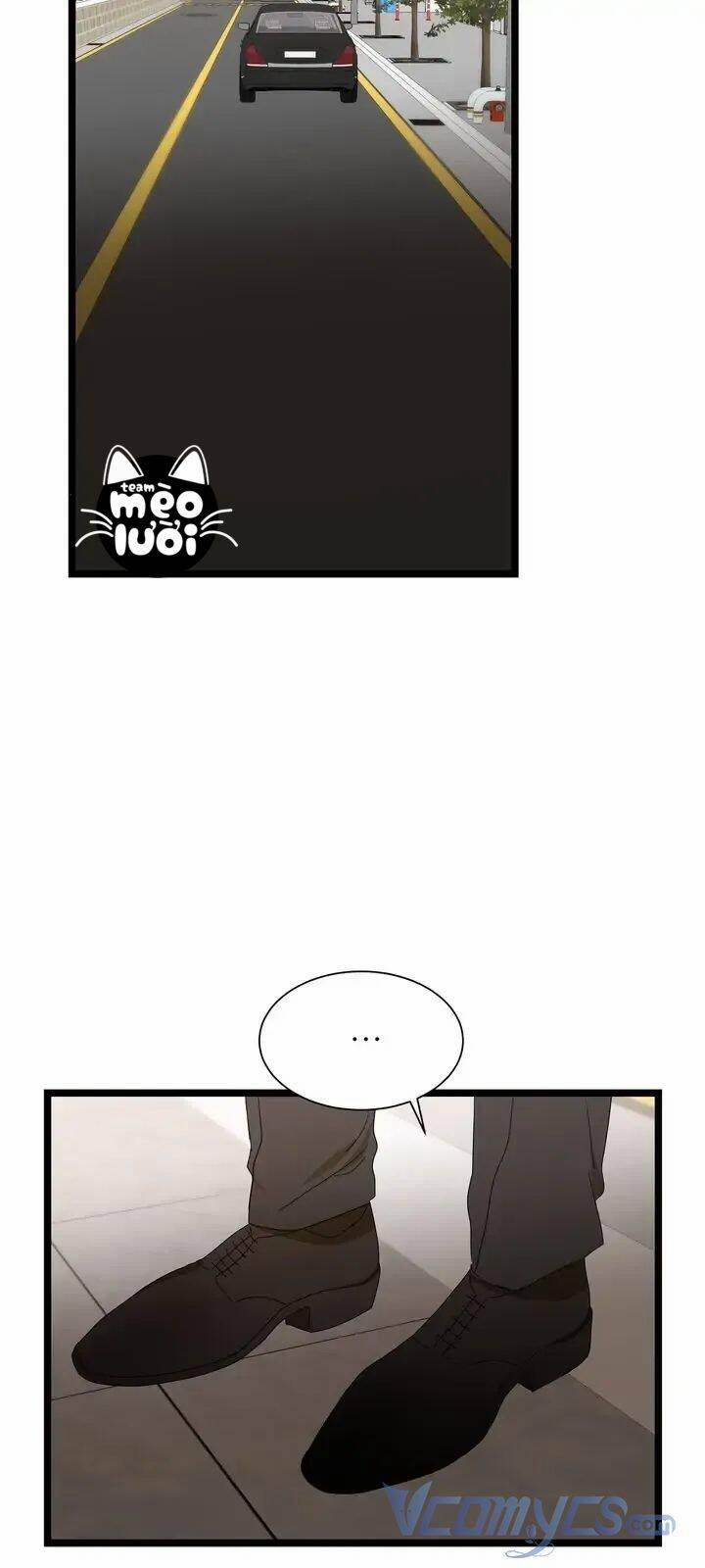 Giả Mạo Theo Phong Cách 85 trang 4