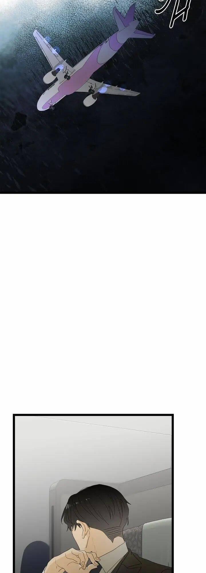 Giả Mạo Theo Phong Cách 91 trang 49