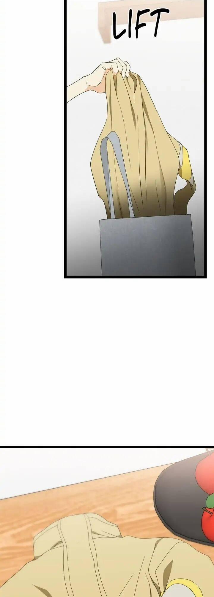 Giả Mạo Theo Phong Cách 92 trang 31